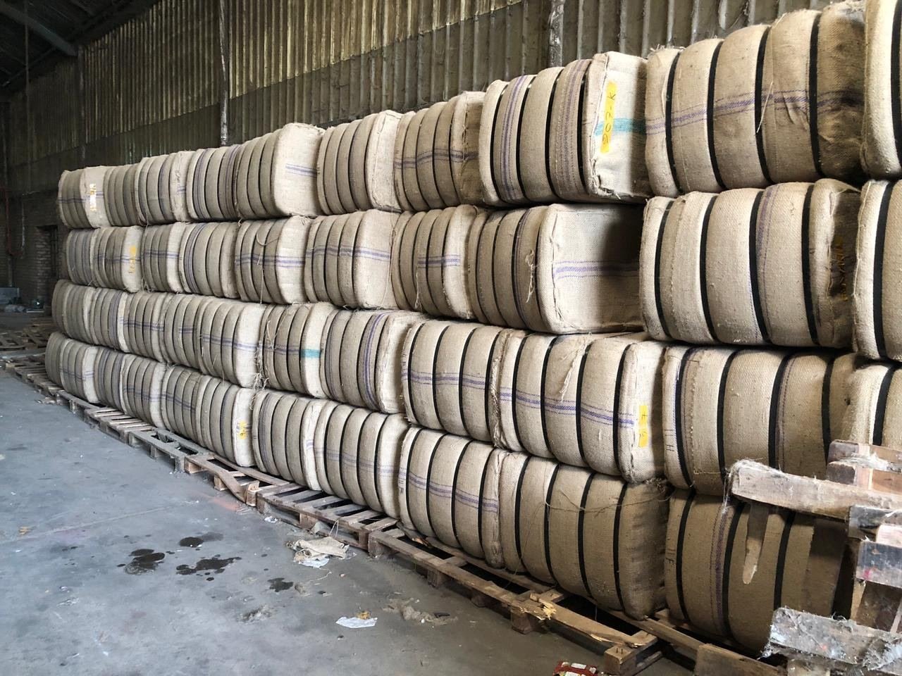 Rows of jute bales