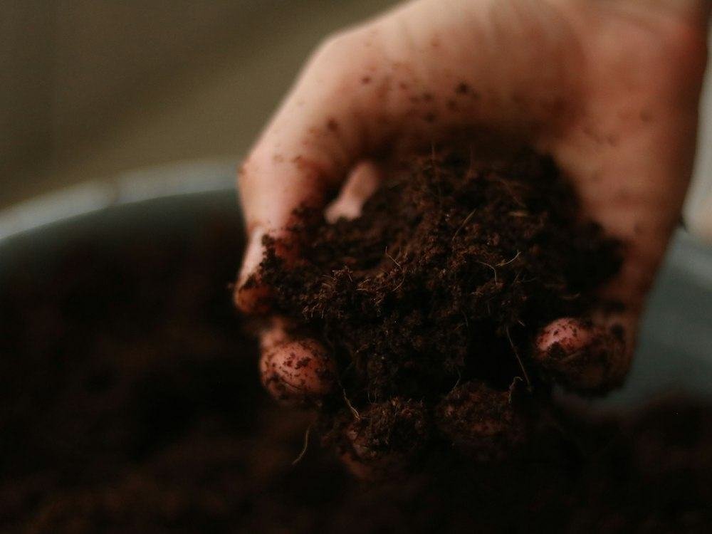 How to Take a Good Soil Sample and Read the Result